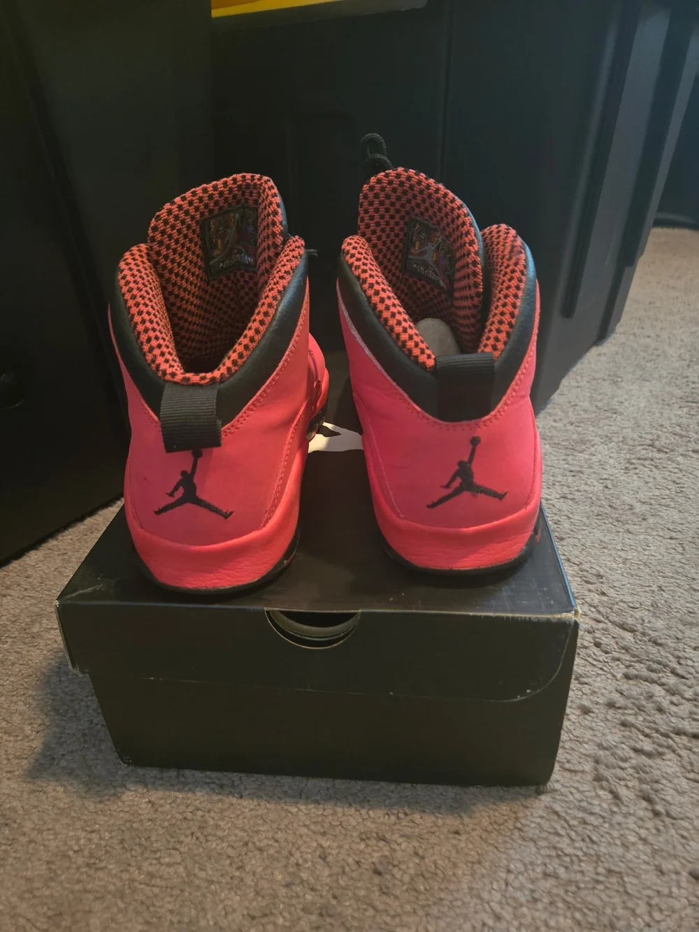Air Jordan 10